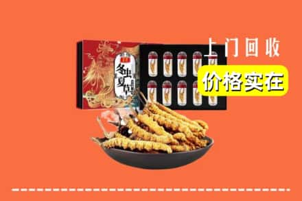 台北回收冬虫夏草