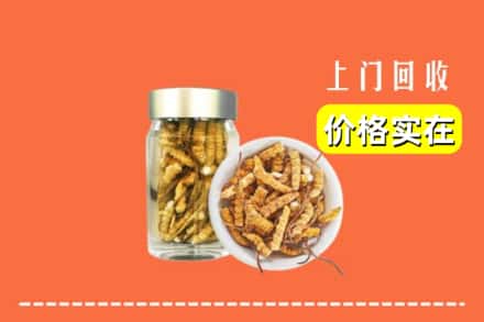 诚信求购:台北高价回收散虫草
