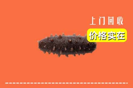 台北回收海参