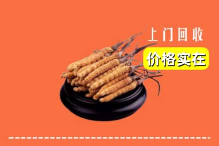 台北回收冬虫夏草