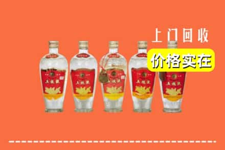诚信求购:台北高价回收老五粮液